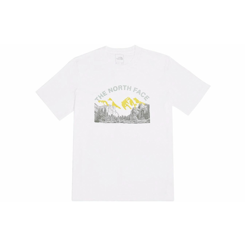 THE NORTH FACE logoT