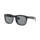 RayBan0RB4260D