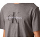 Calvin Klein FW24 logoT