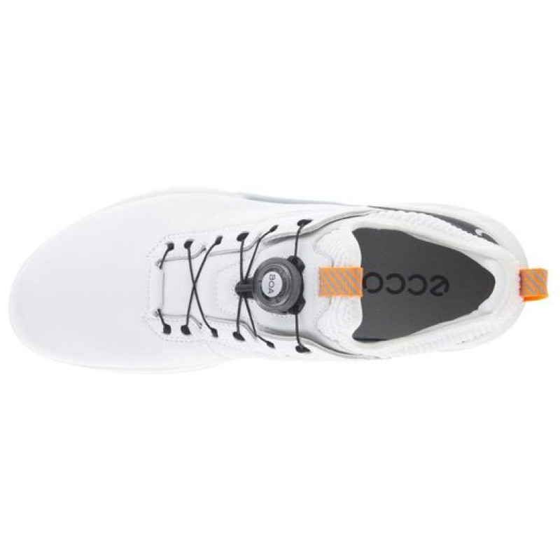 ecco Biom C4