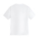 FAIRWHALE T