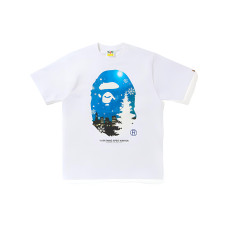 BAPE T