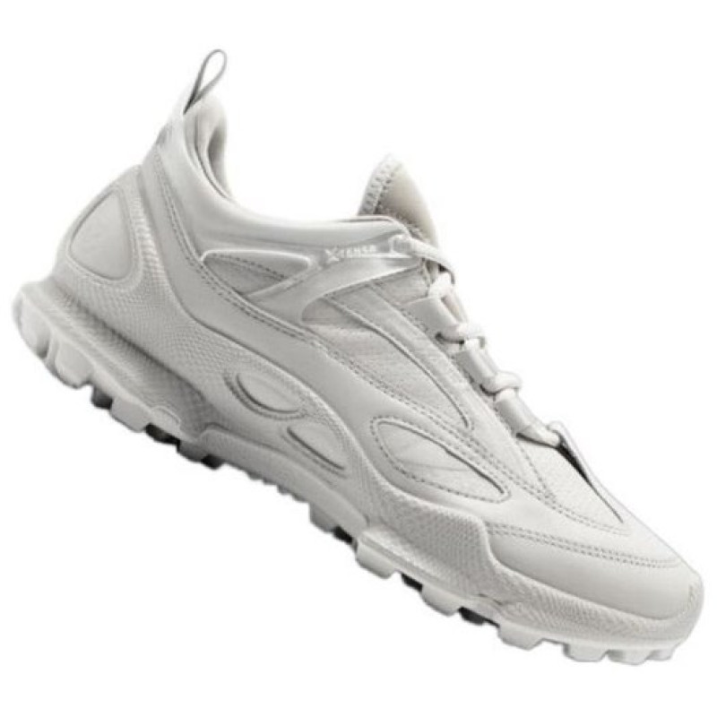 ecco Biom C Trail