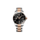 LONGINES 300 43mm L3.782.3.58.7
