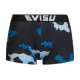 EVISU 3