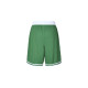 Nike Boston Celtics Icon Edition Swingman SW