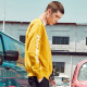 Dickies Logo