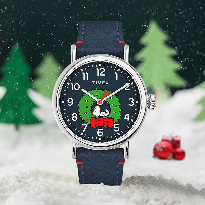 TIMEX 40mm TW2U86300