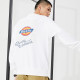 Dickies Logo
