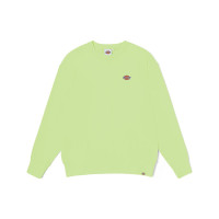 Dickies SS23
