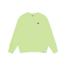 Dickies SS23