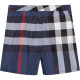 Burberry 80138791