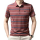 PIERRE CARDIN Polo