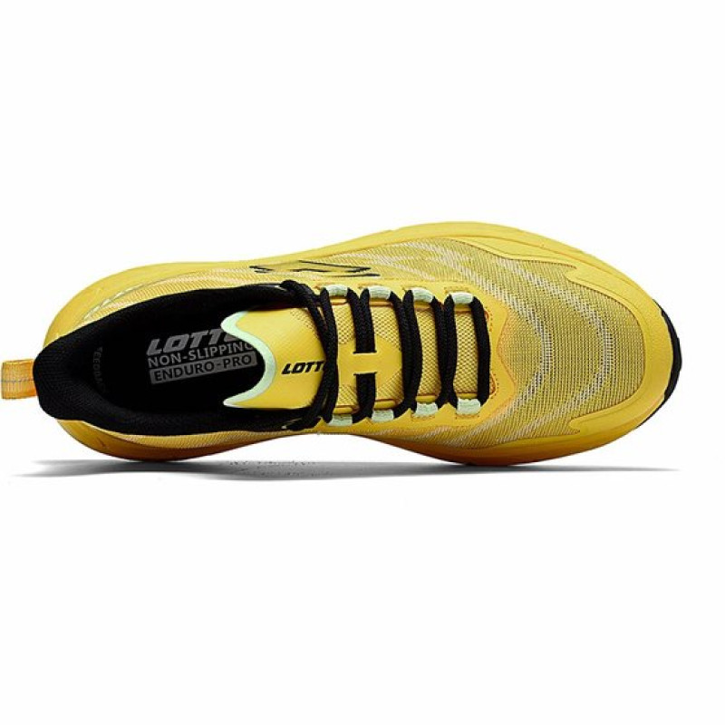 LOTTO TPU