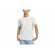 CKCalvin Klein T
