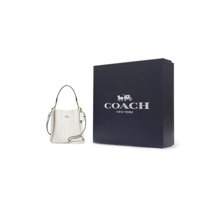 COACH Mollie 22 Logo