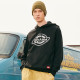 Dickies FW20 Logo
