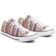 Converse Chuck Taylor All Star Low Top
