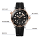 OMEGA 300 42mm 18K 210.22.42.20.01.002