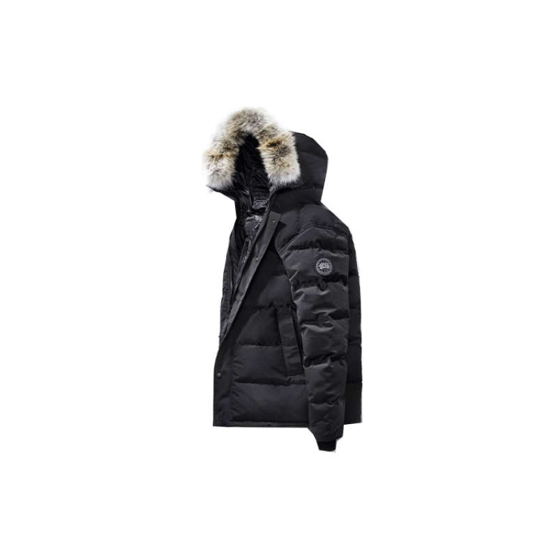 Canada Goose