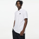361 LogoPolo