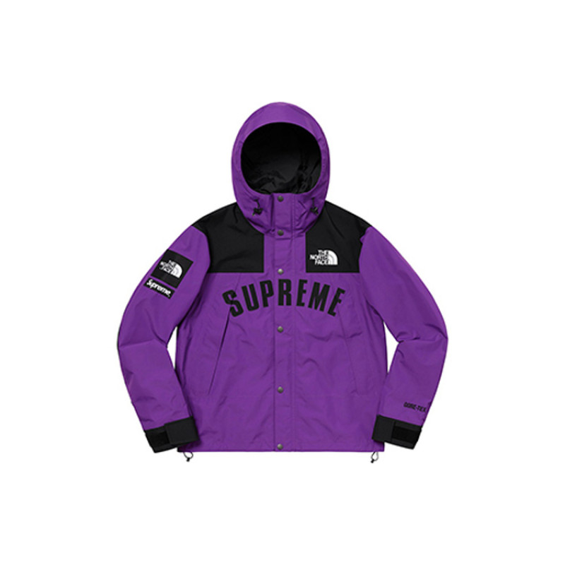 Supreme x THE NORTH FACE SS19