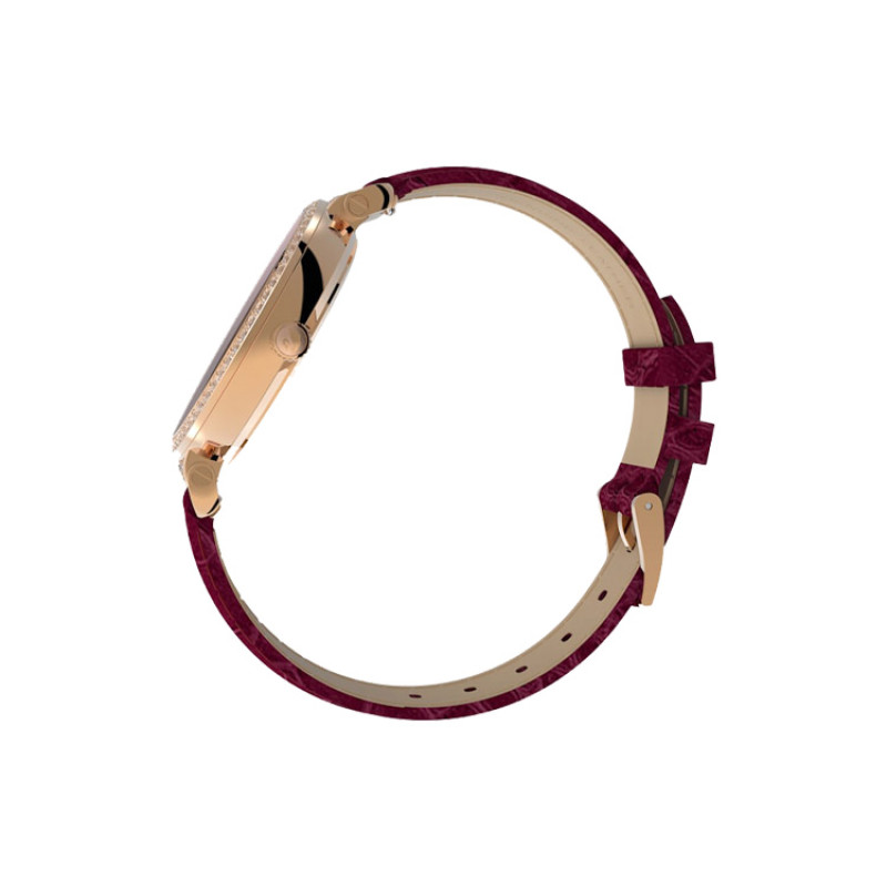 SwarovskiSwarovski 36mm 50 5613323