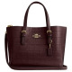 COACH Mollie 25 Tote