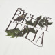 FILA x Lifestyle T