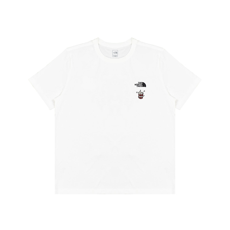 THE NORTH FACE logoT