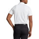 Polo Ralph Lauren SS24 LogoPolo