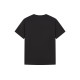 FAIRWHALE T