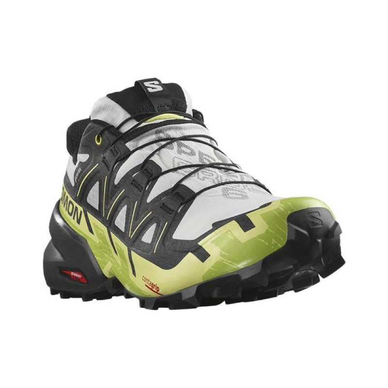 SALOMON 6 GTX