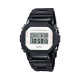 CASIO DW-5600WS-4