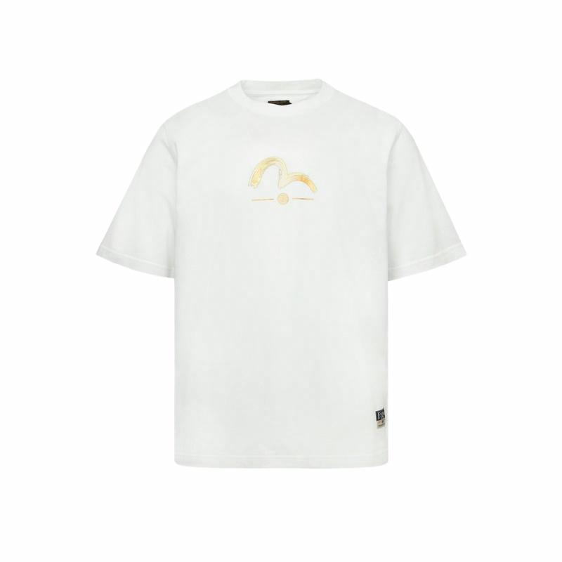 EVISU 2024 MT