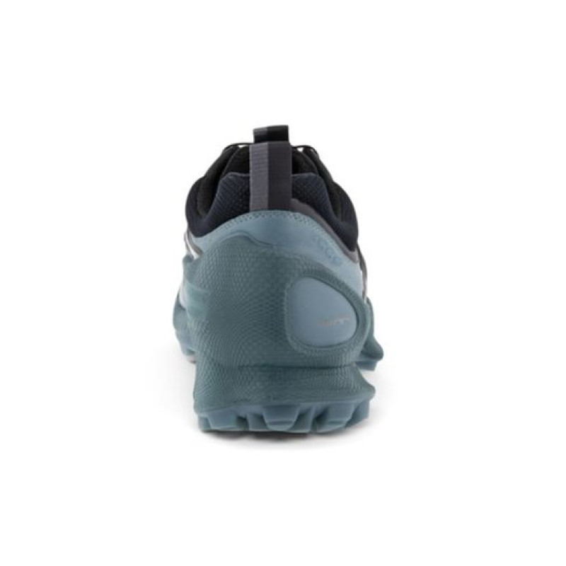 ecco Biom C Trail