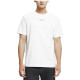 CKCalvin Klein T