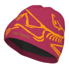Arcteryx Logo