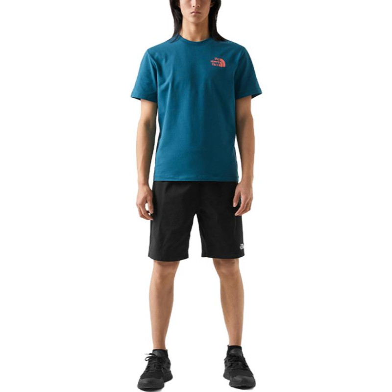 THE NORTH FACE T