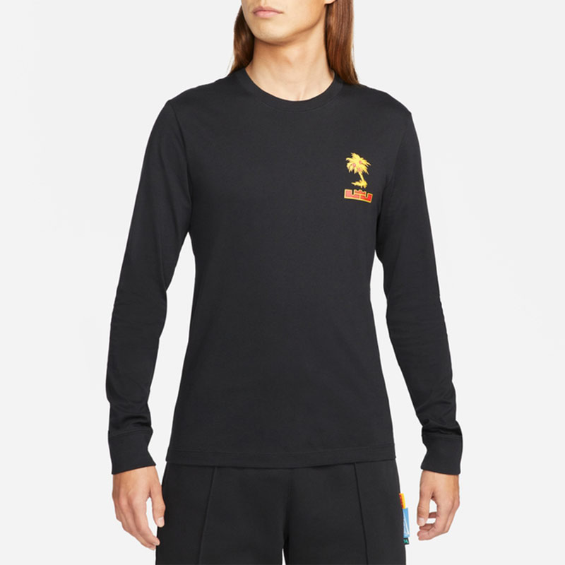 Nike Lebron Sfg T