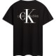 CKCalvin Klein CK T
