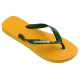 Havaianas Brazil Logo