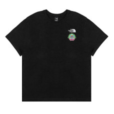 THE NORTH FACE T
