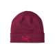 Arcteryx logo Bordeaux