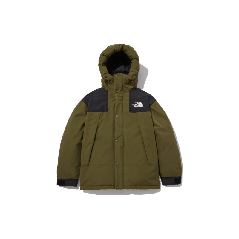 THE NORTH FACE dryvent Logo