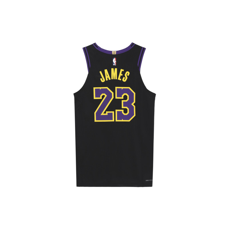 Nike LeBron James Los Angeles Lakers 202324 23