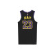 Nike LeBron James Los Angeles Lakers 202324 23
