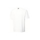 Puma BTS T