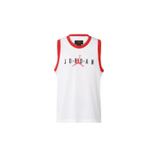 Jordan Air Jumpman Sport DNA