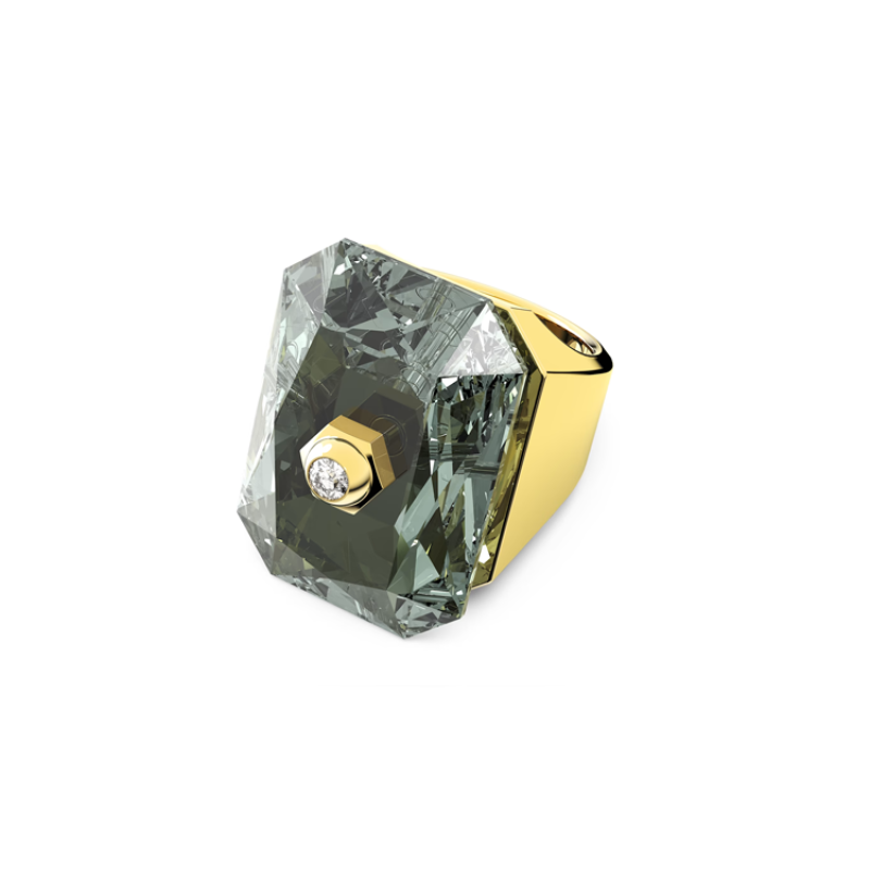 Swarovski Numina